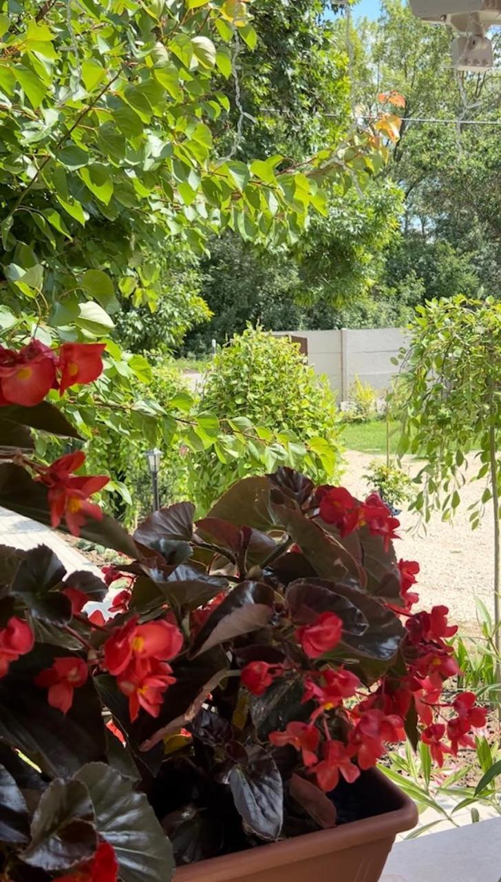 Arany Vendeghaz Villa Szarvas Kültér fotó