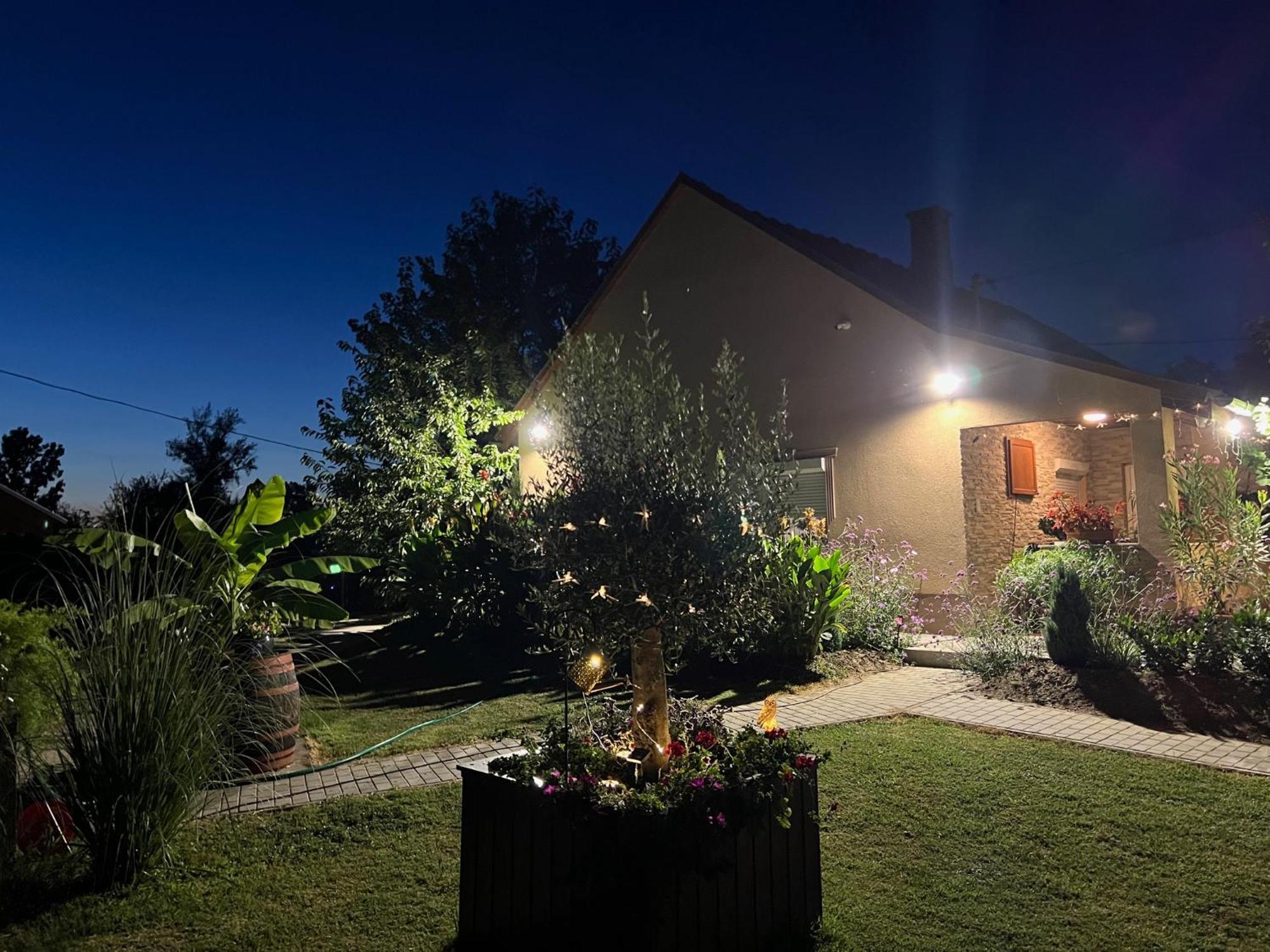 Arany Vendeghaz Villa Szarvas Kültér fotó