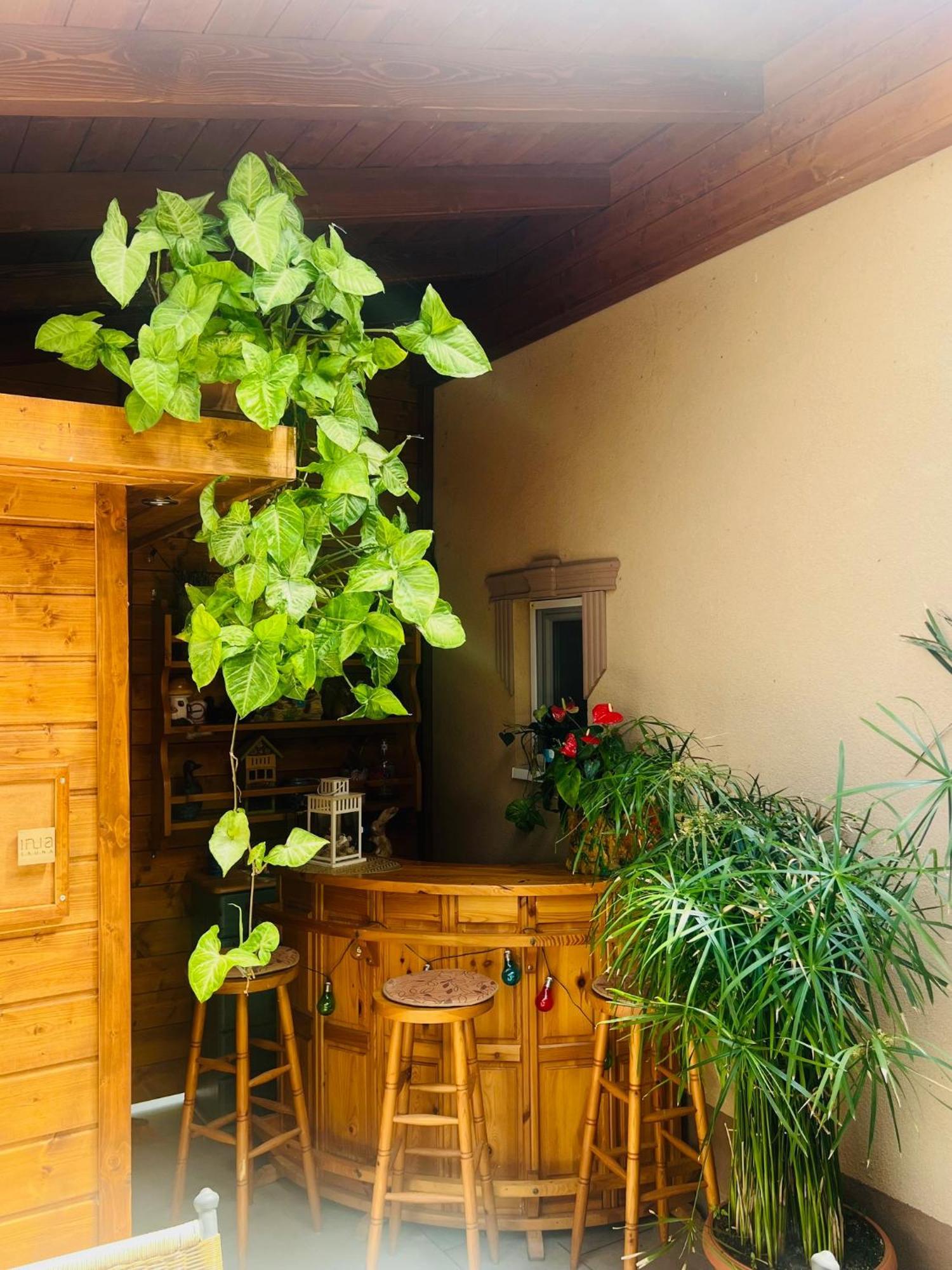 Arany Vendeghaz Villa Szarvas Kültér fotó