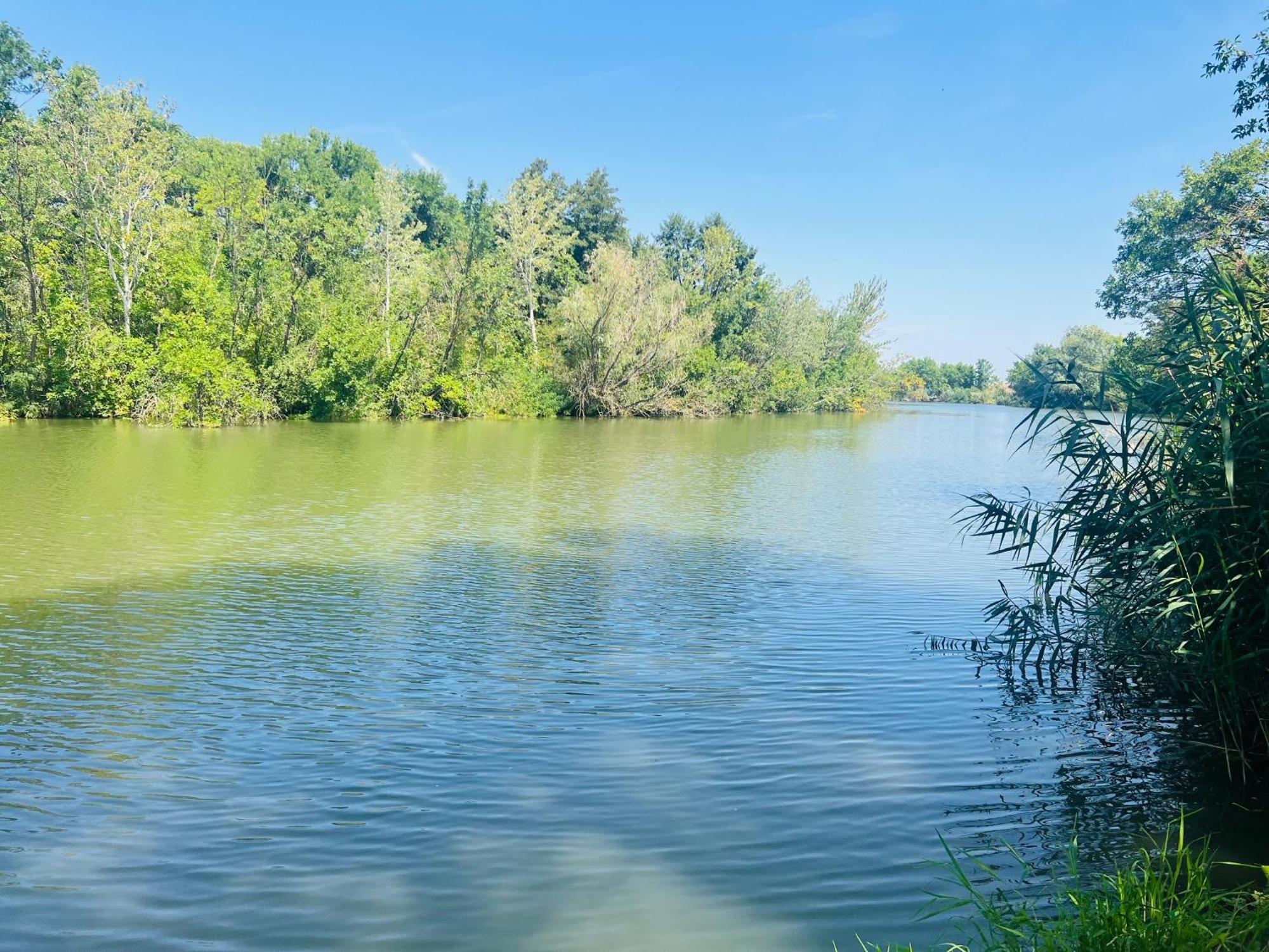Arany Vendeghaz Villa Szarvas Kültér fotó