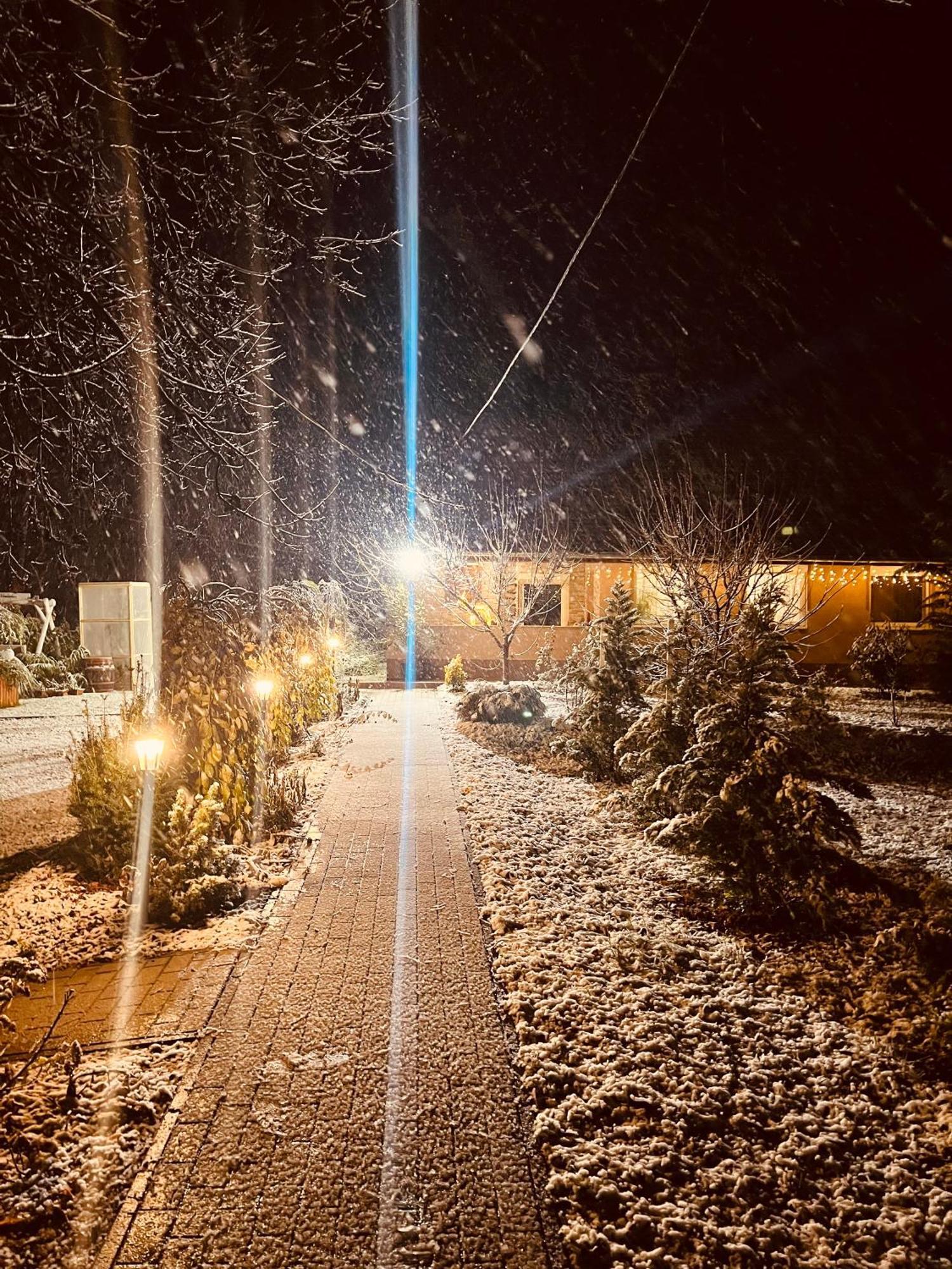 Arany Vendeghaz Villa Szarvas Kültér fotó